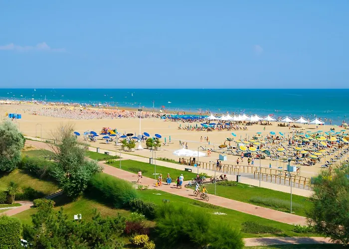 Gimm ビビオーネ